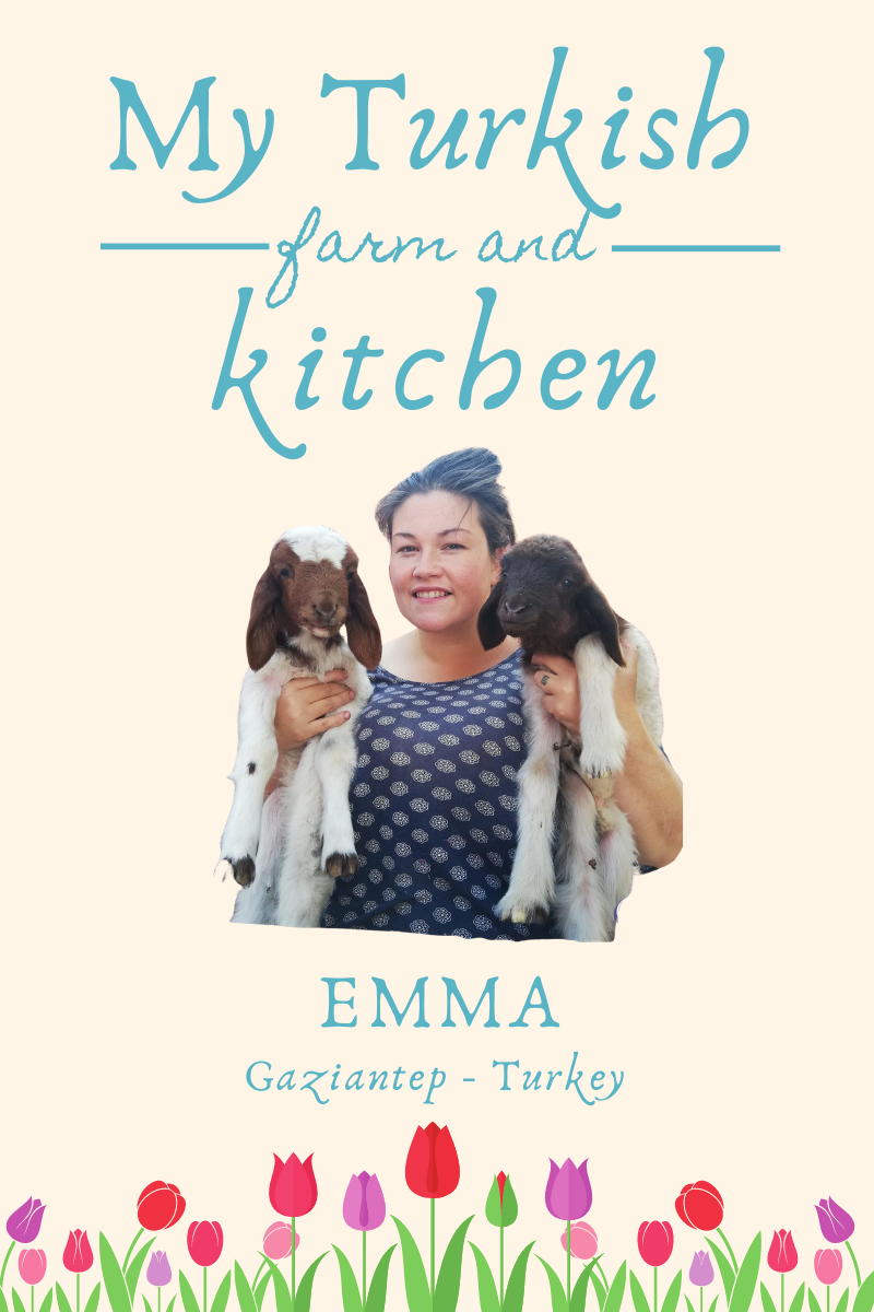 Blog banner. Picture of Emma Işık and tulip boarder. Text overlay reads: My Turkish Farm & Kitchen, Emma Gaziantep Turkey
