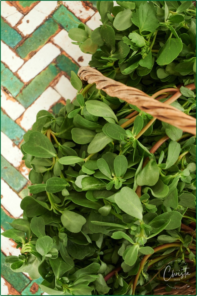 exploringtheturkishkitchen-purslane-salad-with-aegean-dressing