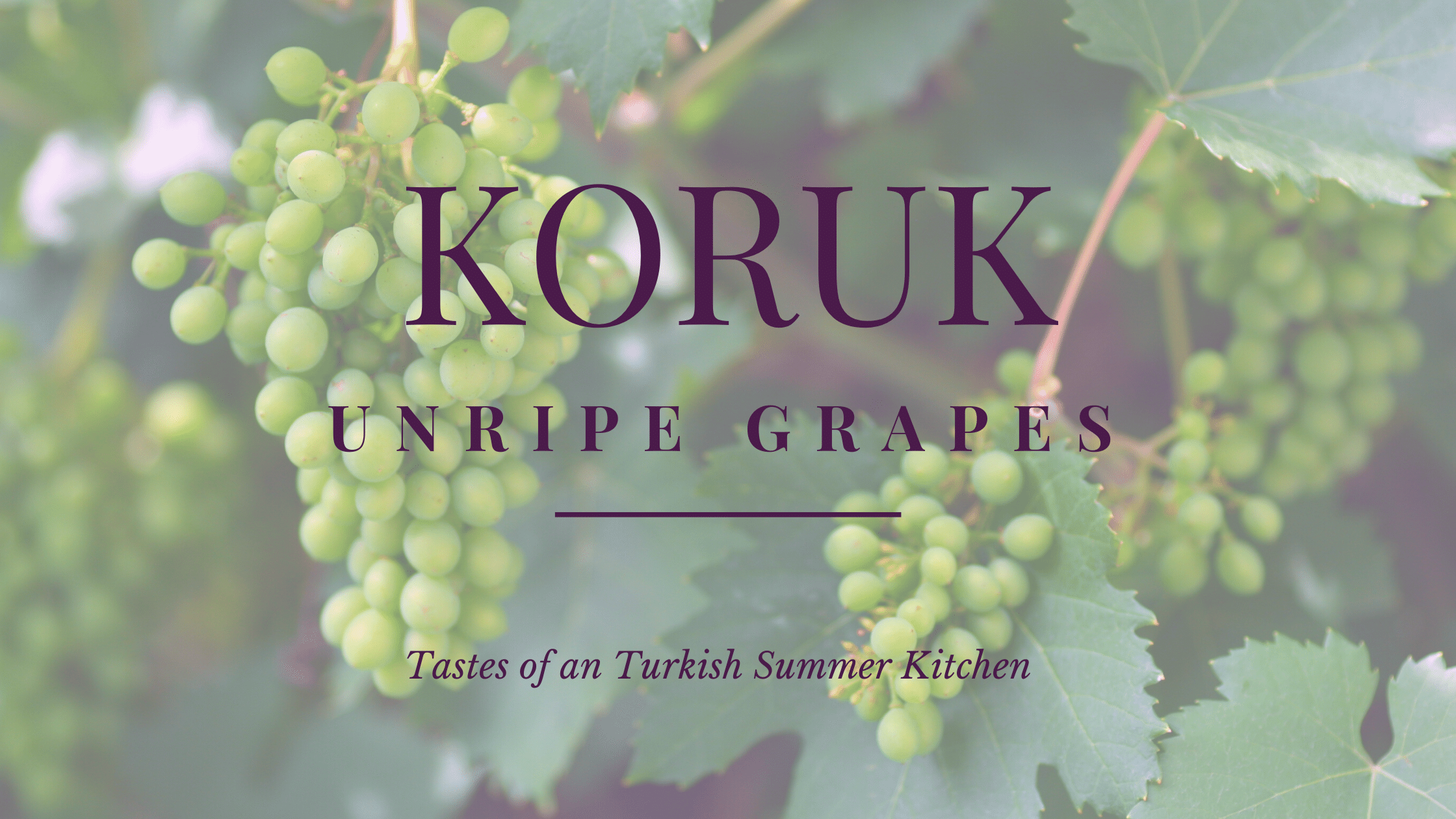 Blog banner: Koruk. Picture shows bunches of unripe grapes on the vine. Text reads Koruk Unripe grapes. Tastes of a Turkish Summer Kitchen